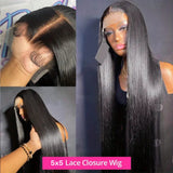 5x5 Closure Wigs Silky Straight Skin Melt Swiss Lace Wig